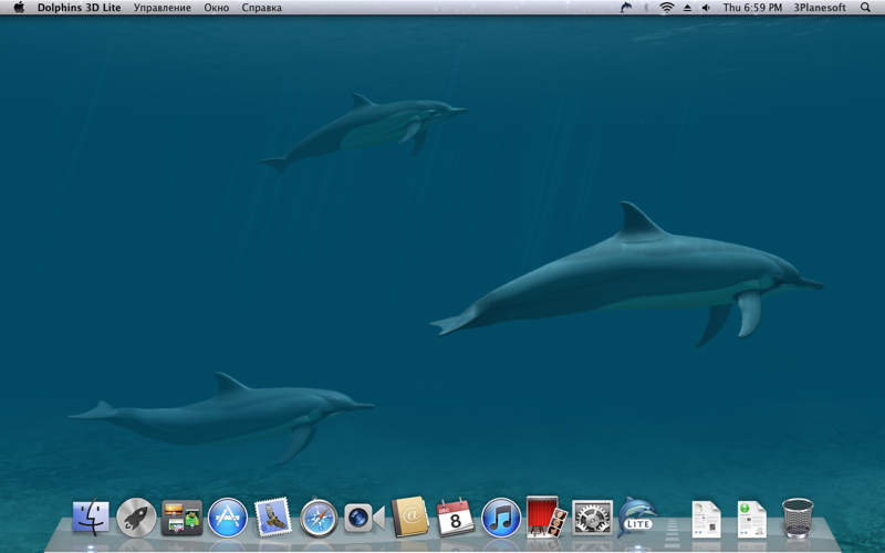 Скриншот из Dolphins 3D Lite