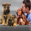 Dog Breeding - The Basics You Need To Know!