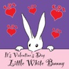 Valentine's Bunny - A Children's Story