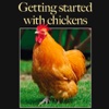 Getting Started With Chickens