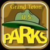 Grand Teton Tracks, Trees and Wildflowers
