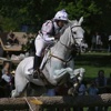 AWESOME JUMPING HORSES—True Athletes Competing in Their Best Form