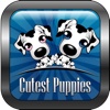 100+ Best Cute Puppies Album