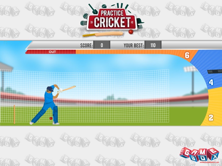 Practice Cricket screenshot-4