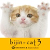 bijin-cat 3