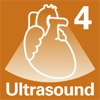 Diagnostic Ultrasound Video Clips #4 Carotid Vessels