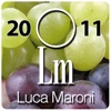 Annuario dei Migliori Vini Italiani 2011 - Luca Maroni