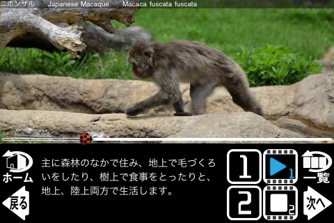 Animal Life mini JP FREE(圖4)-速報App