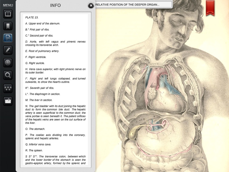 Surgical Anatomy - Student Edition screenshot-3