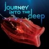 Journey Into the Deep