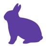 BunnyHop - The Rabbit Jumping Easter Egg Fun Game