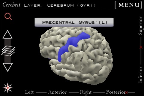 Cerebrii screenshot 2