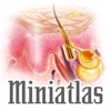 Miniatlas Dermatology