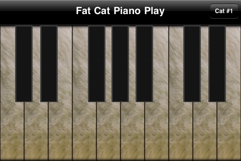 Fat Cat Piano Play FREE(圖1)-速報App