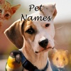 Pet Names: Dog, Cat, Hamster, Lizard and other Pet Names