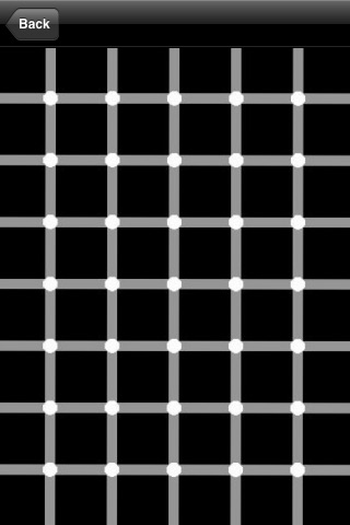 300 Optical Illusions