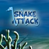 Snake_Attack