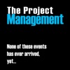 The Project Management