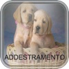 Addestramento CANI - Manuale completo!