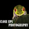Close Ups Photography
