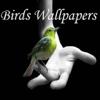 Birds Wallpapers "iPad Version"