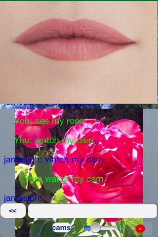 IVM Cam-to-Cam Messenger for ALL screenshot-4