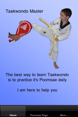 Taekwondo Personal Trainer