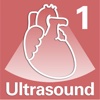 Diagnostic Ultrasound Video Clips #1 Normal Heart