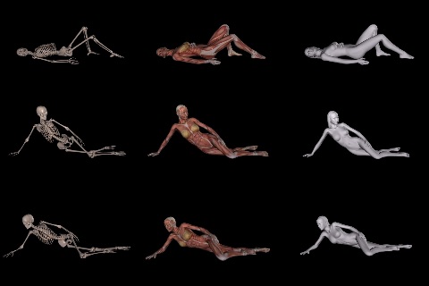 360 Anatomy for Artists - Reclining Figure screenshot-4