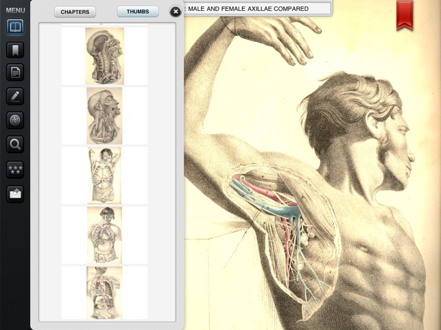 Surgical Anatomy - Student Edition(圖3)-速報App