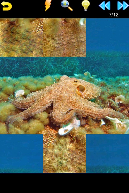Ocean Puzzle (Worldwide) screenshot-3