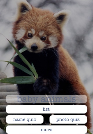 Baby Animals - An Encyclopedia Game