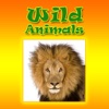 Wild Animals