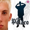 aprender polaco