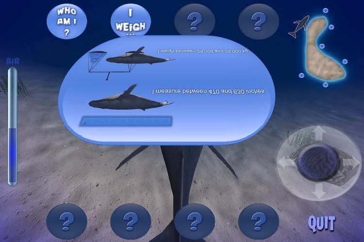 Humpback Whale Free screenshot-3