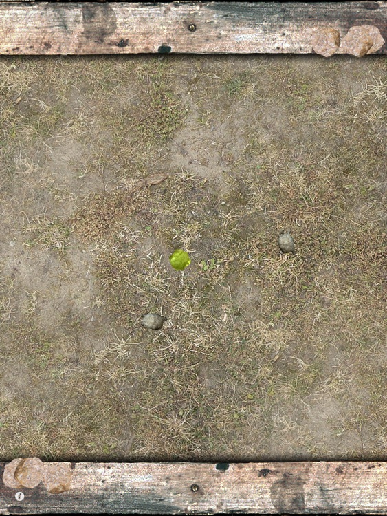 Pet Tortoise screenshot-3