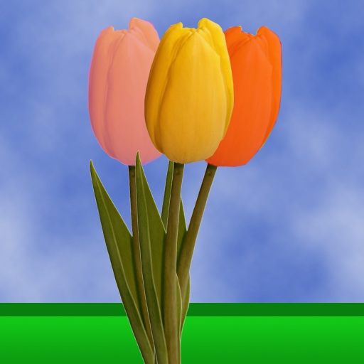 Dutch Flower Message icon