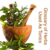 Glossary of Herbal Used As Tonics