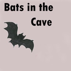 Activities of Bats in the Cave