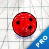 Doodle Bowling Pro