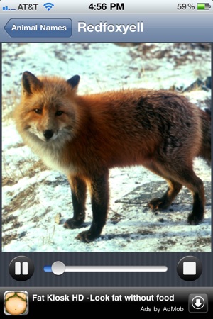 Animal Sounds HD Lite(圖4)-速報App