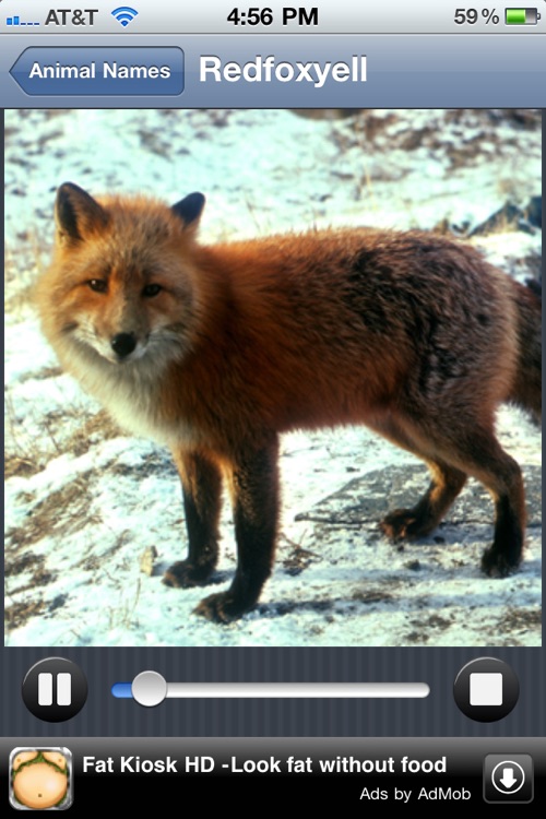 Animal Sounds HD Lite screenshot-3