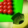 Snooker Coaching School