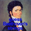 Guess Beethoven's Strings