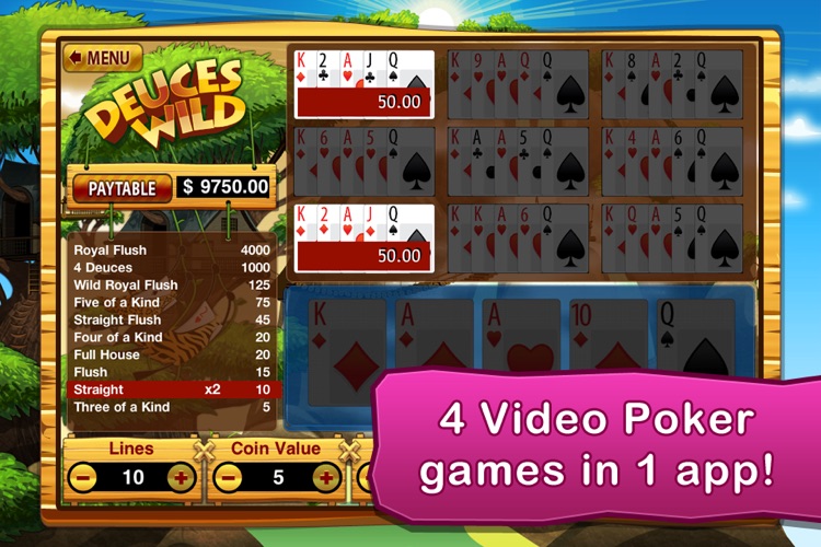 Video Poker (4 Games)