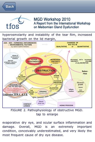 TFOS MGD Report screenshot 3