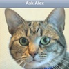 Ask Alex Cat