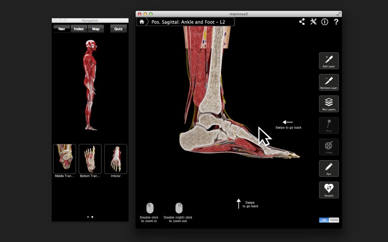 Ankle & Foot Pro III screenshot1