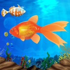 Activities of Hungry Fish Lite