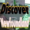 Discover Newfoundland Virtually